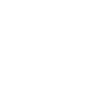 Alternate View - Logo