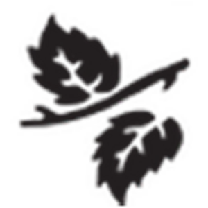 Cole Insurance Agency - Logo