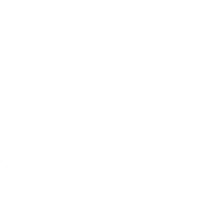 Burns Bluff at High Falls Wedding and Event Venue - Logo