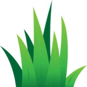 Lach Sod Farms - Logo