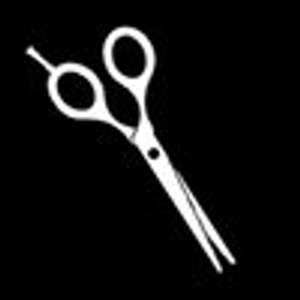 Modesto Cuts - Logo