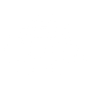 Ox Outfitters