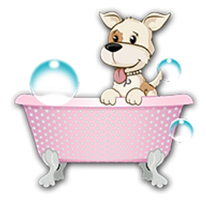 Posh Paws Grooming Salon Granite Bay