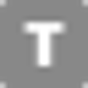 Texas Best Detailing - Logo