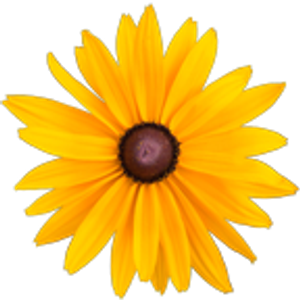 Susana Byers, Lic. Ac. - Logo