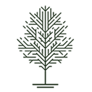 Master Arbor Tree Service