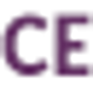 Chef Exclusive Catering - Logo