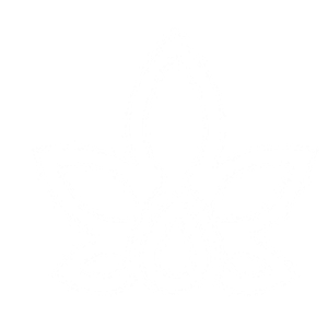 Bloom Labs - Logo