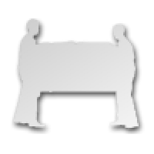 Caraway Moving Inc - Logo