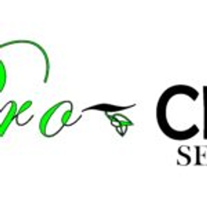 Pro-Clean Services MT LLC - Logo