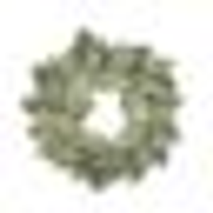 Lauren Clark, Magnolia Realty - Logo