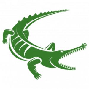Bayou Construction & Specialty Services, LLC - Logo
