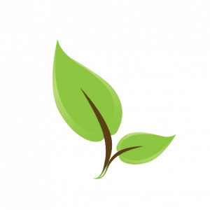 Green Dream Landscaping