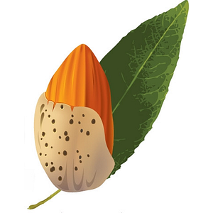Golden Almond Health Store - Logo