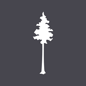 Bethany Community Church - Logo