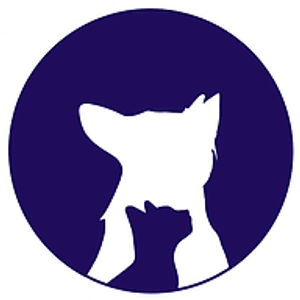 New Moon Pet Training - Logo
