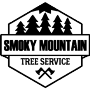 Smoky Mountain Tree Service