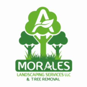 Amorales landscaping services llc & tree removal - Logo
