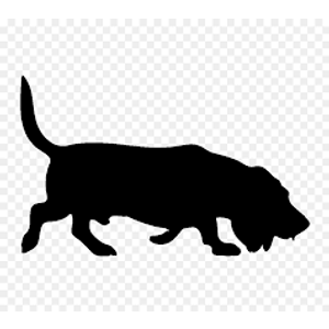 20 Paws