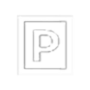 Pneuma Therapeutic Services - Logo