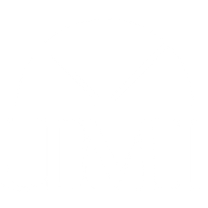 Lumir Corporation - Logo