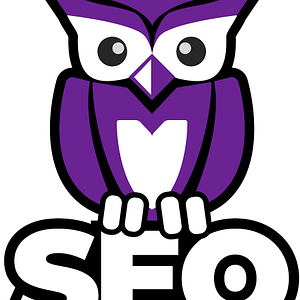 the seo services
