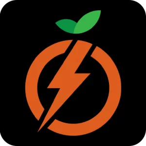 Peachtree Electrical Service