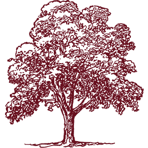 Las Vegas Day School - Logo