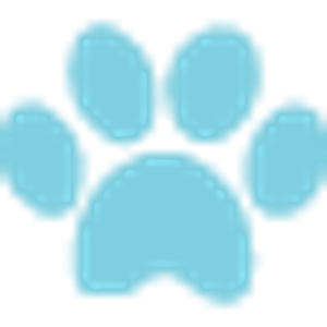 Village Animal Clinic - Logo