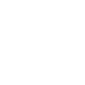 Shaolin Kungfu Yuan Arcadia School