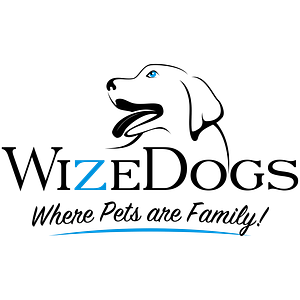 WizeDogs Labradors & Pawsitive Dog Training Arizona - Logo