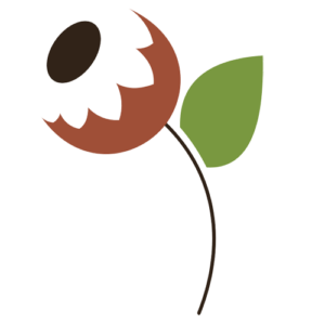 Natural Health Improvement Center—Palos Park