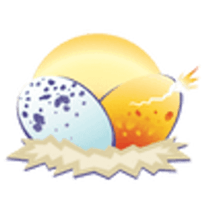 Wild Eggs - Logo