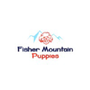 Fisher Mountain Puppies - Logo