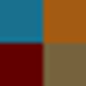 Ozark Share & Care - Logo