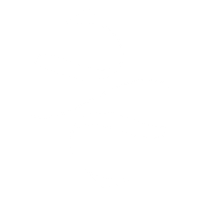 Stone & Skin - Logo
