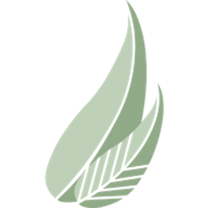 Eucalyptus Day Spa - Logo