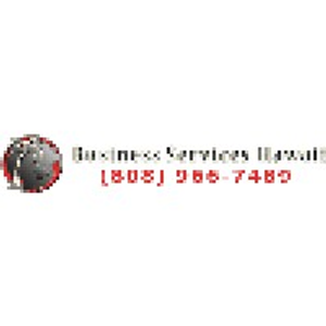 Business Services Hawaii - Logo