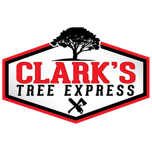 Clark's Tree Express