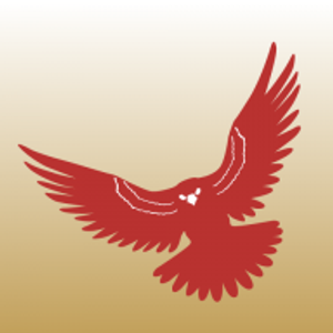 Falcon Construction and Development