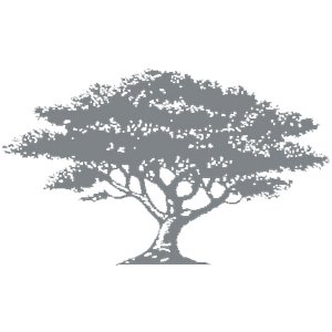 Granite Springs Lodge - Logo