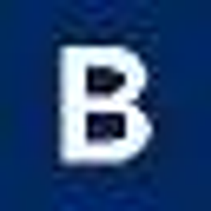 Bernie's House Painting LLC - Logo