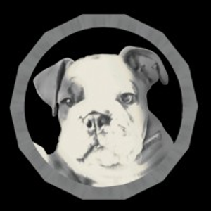 The Boston Realty Group - Logo