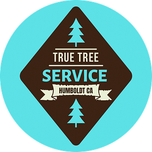 True Tree Service LLC