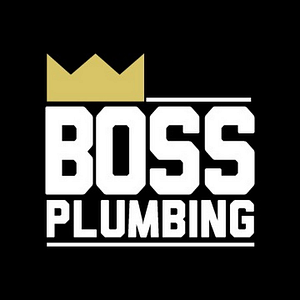 Boss Plumbing Ltd. - Logo