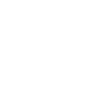 Alexa's Luxe Lashes - Logo