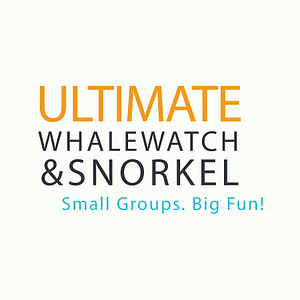 Ultimate Whale Watch & Snorkel