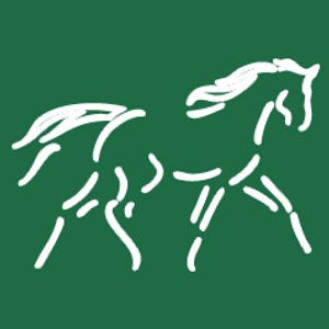 The Cheshire Horse - Logo