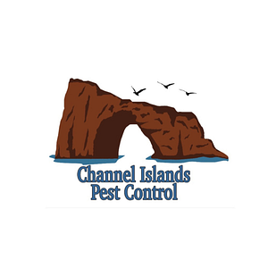 Channel Islands Pest Control