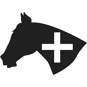 EquestriSafe, LLC